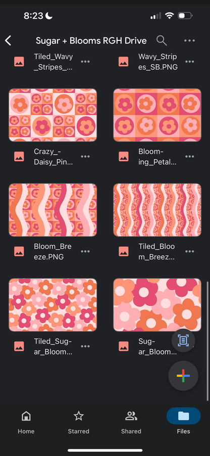 Sugar + Blooms Drive (Collection Bundle)