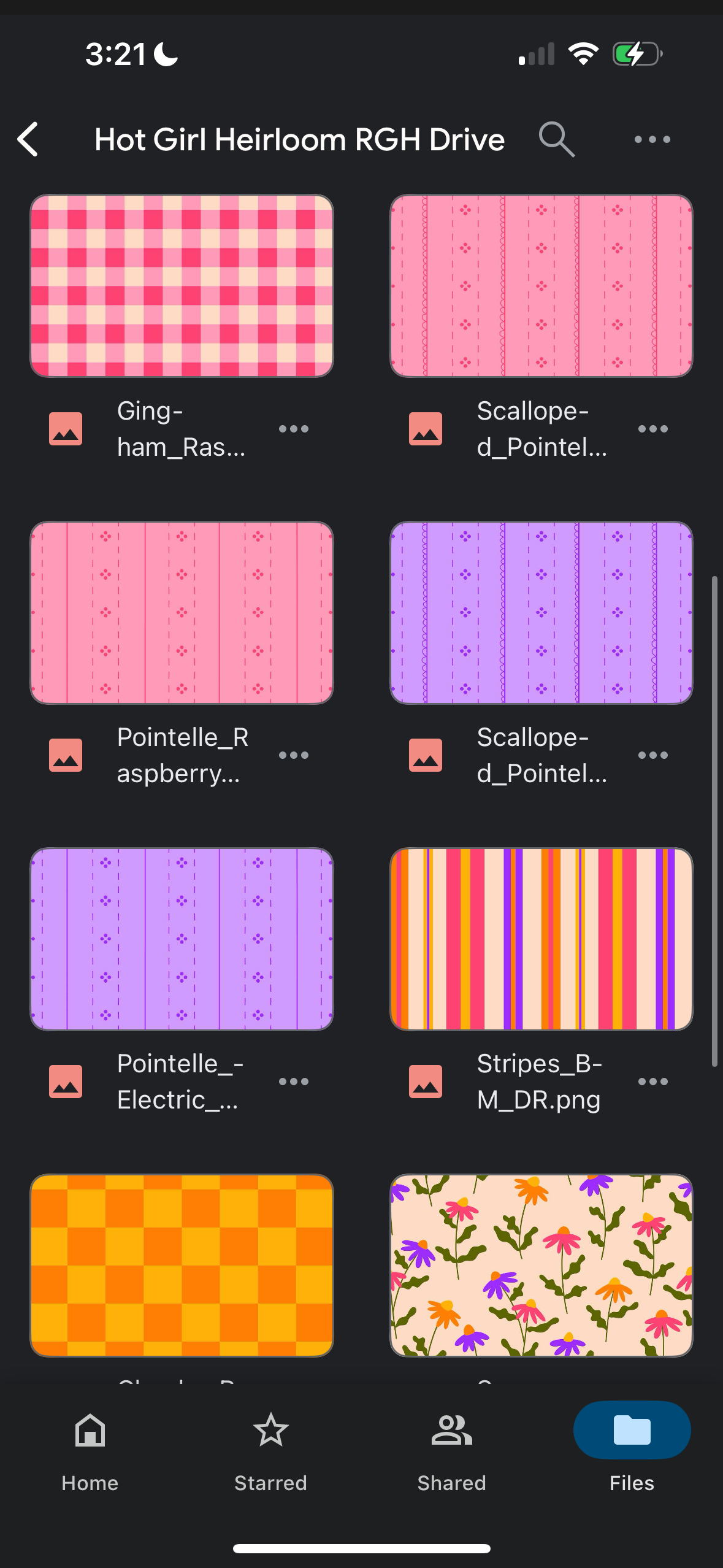 Hot Girl Heirloom Drive (Collection Bundle)