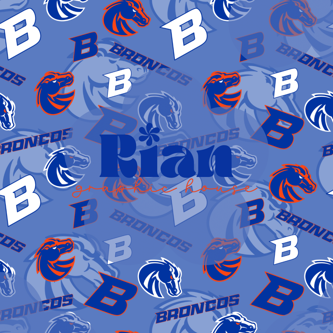 Boise Broncs Seamless