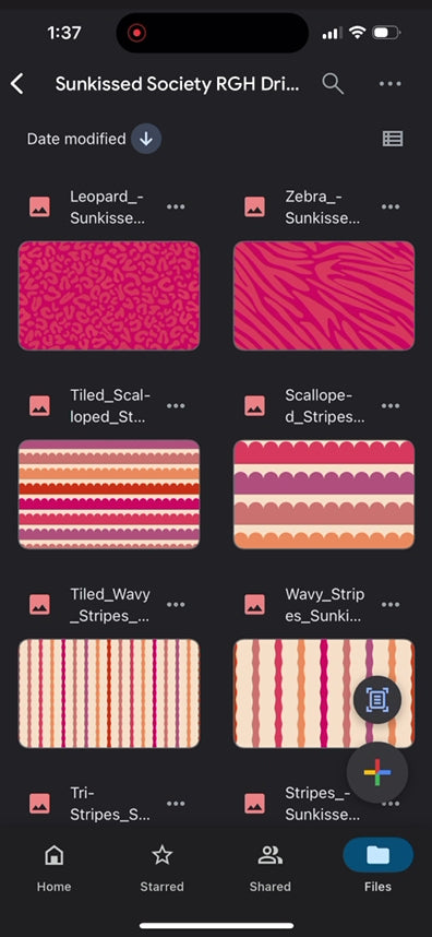 Sunkissed Society Drive (Collection Bundle)